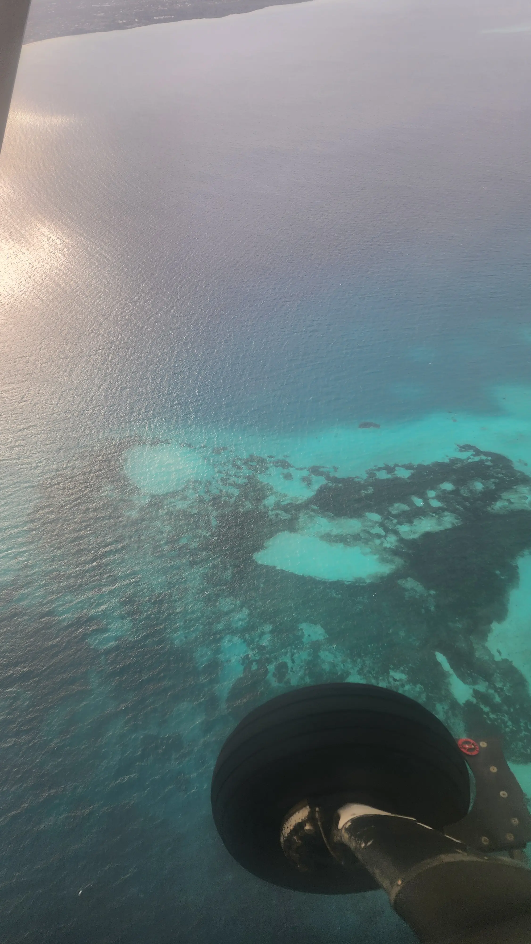 Zanzibar-Chakechake environment